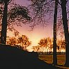click on the small image to see the full picture