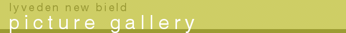 Lyveden New Bield - Gallery Banner